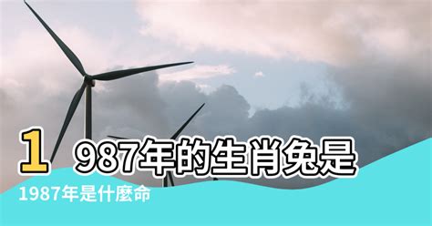 1987年五行屬什麼|【1987年兔五行】1987年出生的兔年人命運解析：五行屬性一覽